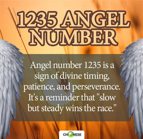 1235 angel number twin flame|1235 Angel Number Twin Flame